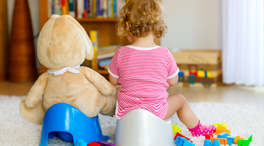 5 Things to Prepare Before You Start Toilet Training