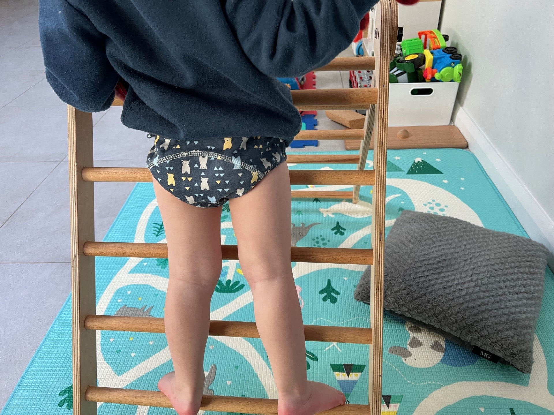 washable nappy pants